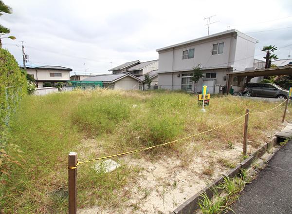 Local appearance photo. Local 2013 in early October shooting