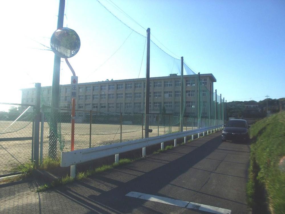 Junior high school. Haruki 1300m until junior high school