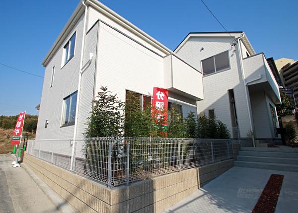 Local appearance photo. local 2013 mid-December shooting