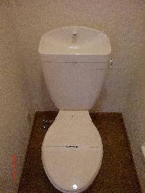 Toilet. For indoor photo of the same type. 