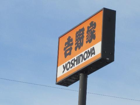 Other. Yoshinoya 1126m up to 153 Route Wago shop (Other)