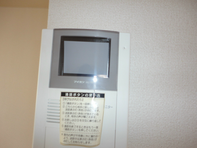 Security. Monitor with intercom