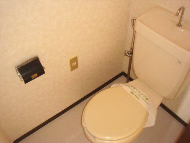Toilet. Western-style toilet