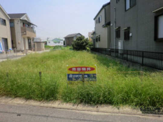 Local land photo