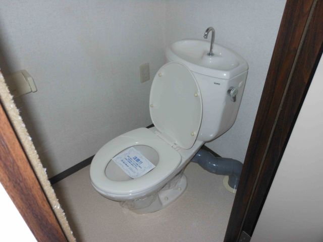 Toilet. Western-style toilet