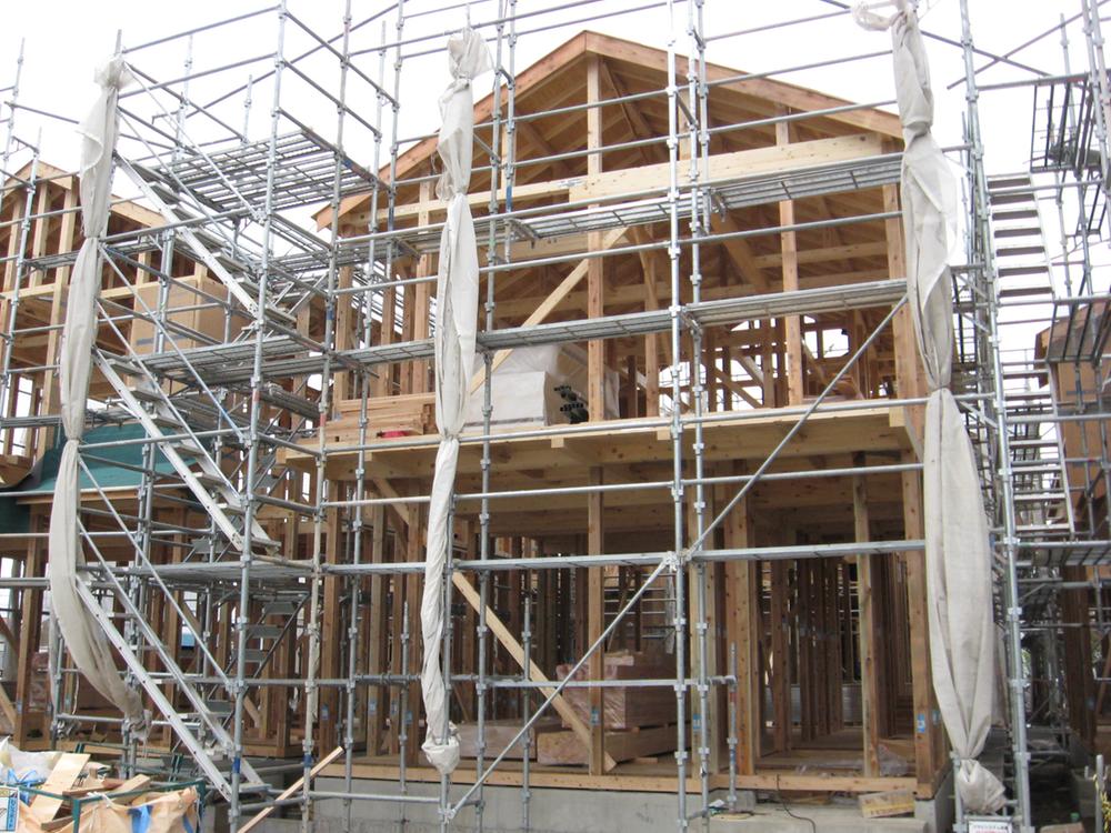 Local appearance photo. November 12, local photo