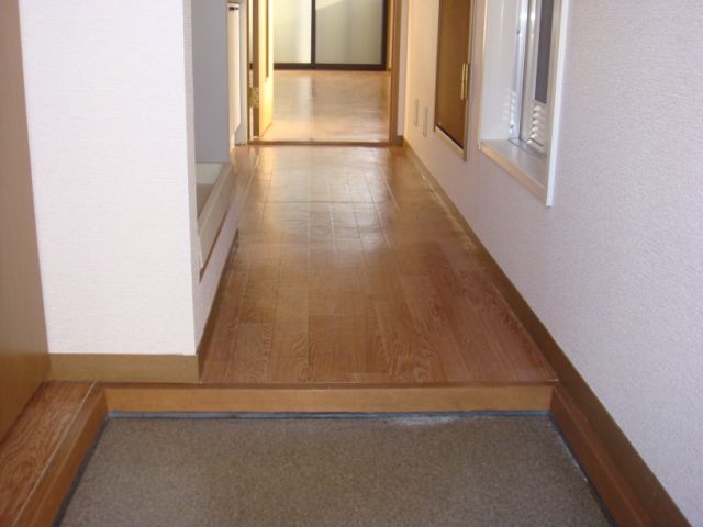 Entrance. Corridor space as seen from the front door