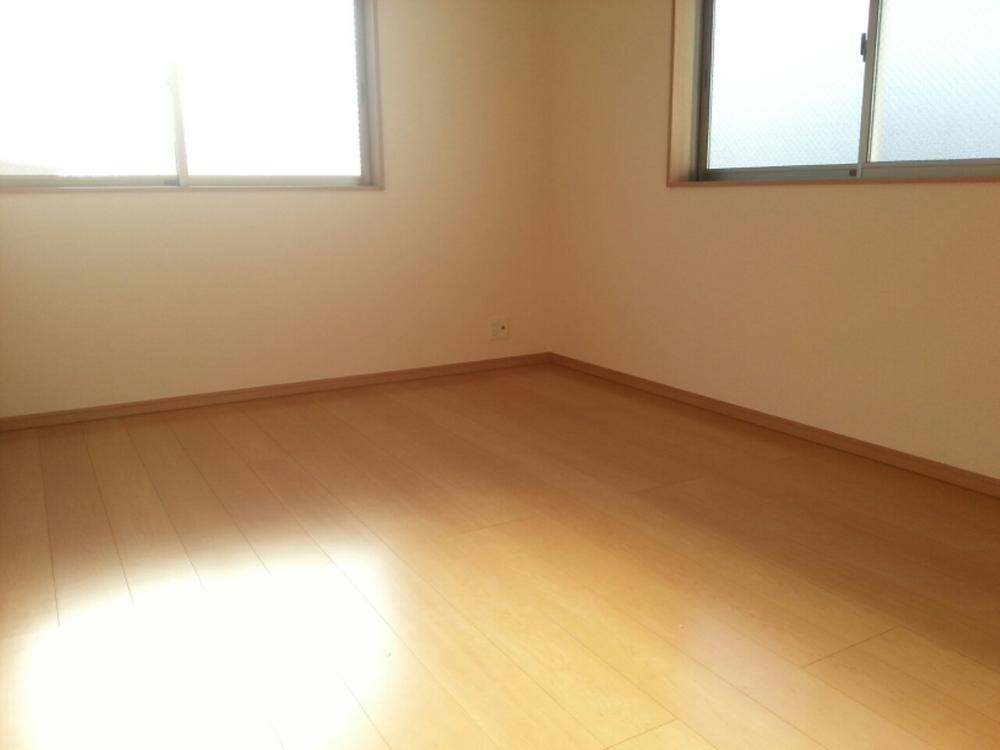 Other. * Different from the actual ones