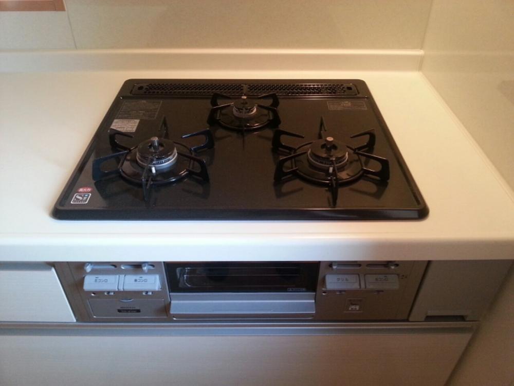 Other. * Different from the actual ones