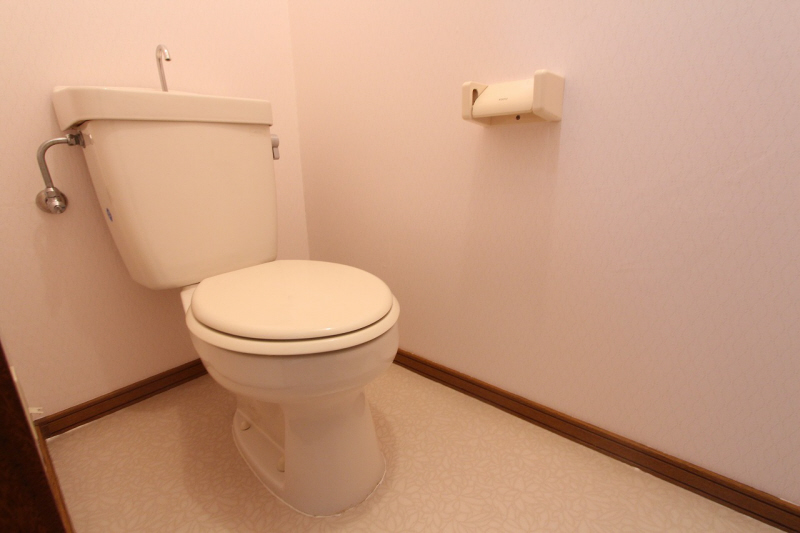 Toilet.  ※ 303, Room interior photograph reference