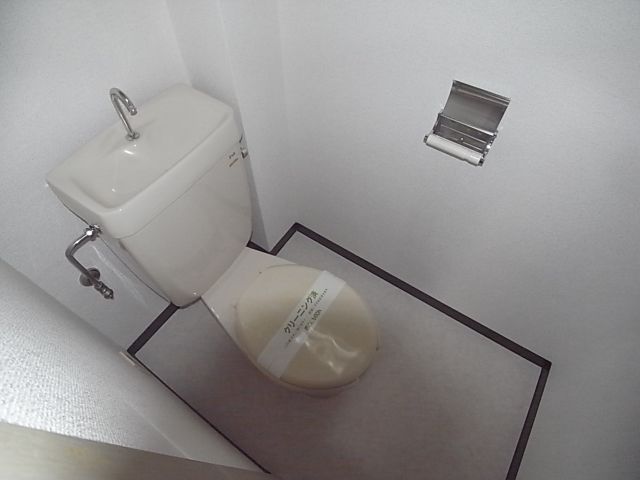 Toilet. Clean toilets