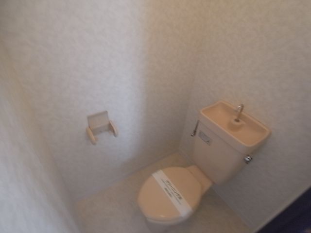 Toilet. It is a popular Western-style toilet