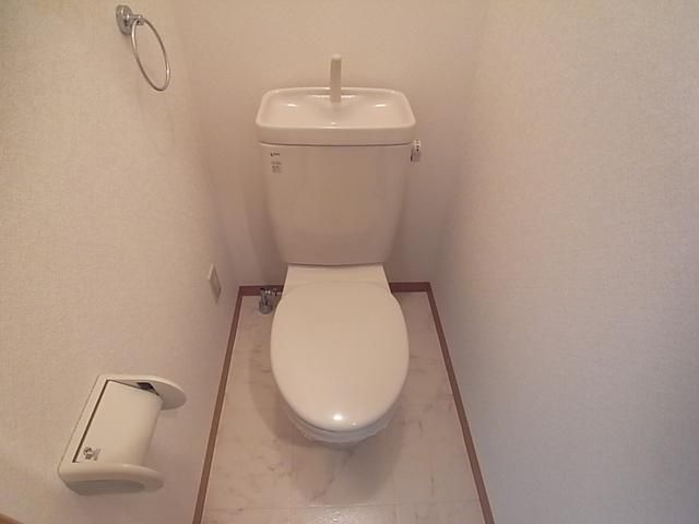 Toilet. Clean Western-style toilet