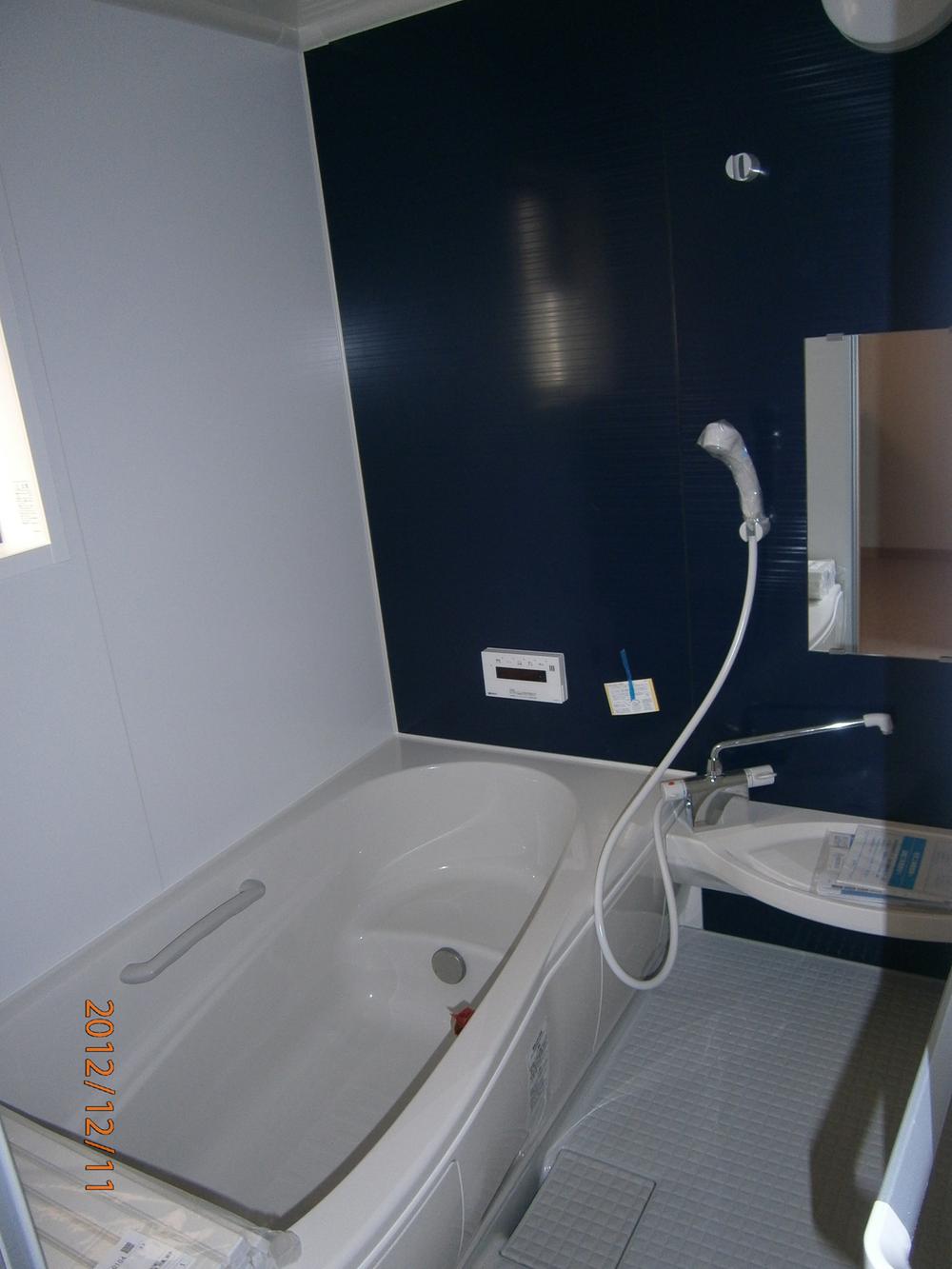 Bathroom. Local (12 May 2012) shooting