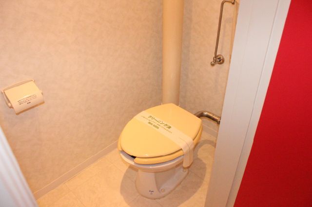 Toilet. Western-style toilet