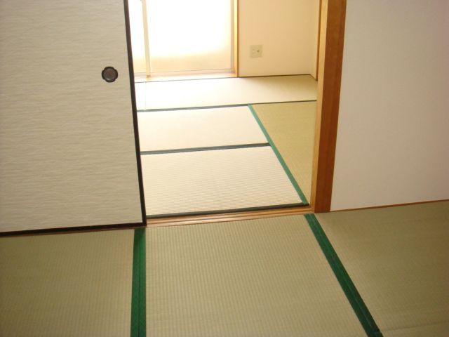 Living and room. Sunny Japanese-style