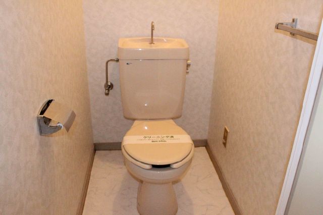 Toilet. Western-style toilet