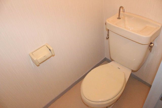 Toilet. Western-style toilet