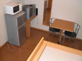 Living and room. Furnished Home Appliances