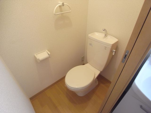 Toilet. Popularity of Western-style toilet