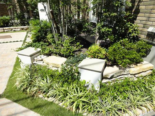 Garden. LED lighting will illuminate the planting. Local (09 May 2011) Shooting