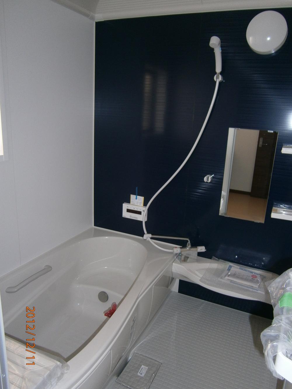 Bathroom. Indoor (12 May 2012) shooting