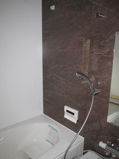 Bathroom. Indoor (10 May 2013) Shooting