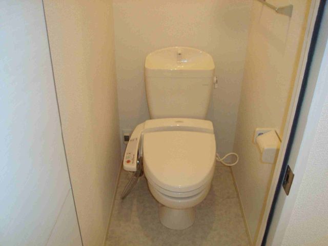 Toilet. Bathroom with a shower