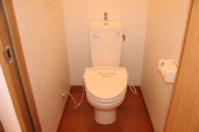 Toilet. Western-style toilet