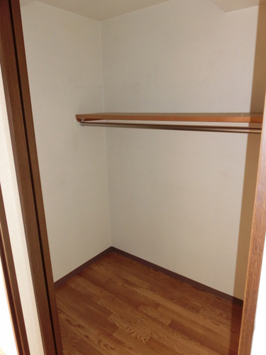 View. Happy walk-in closet in the housing
