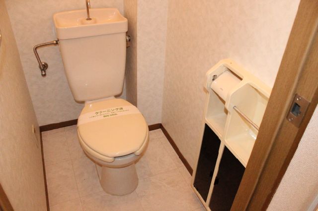 Toilet. Western-style toilet