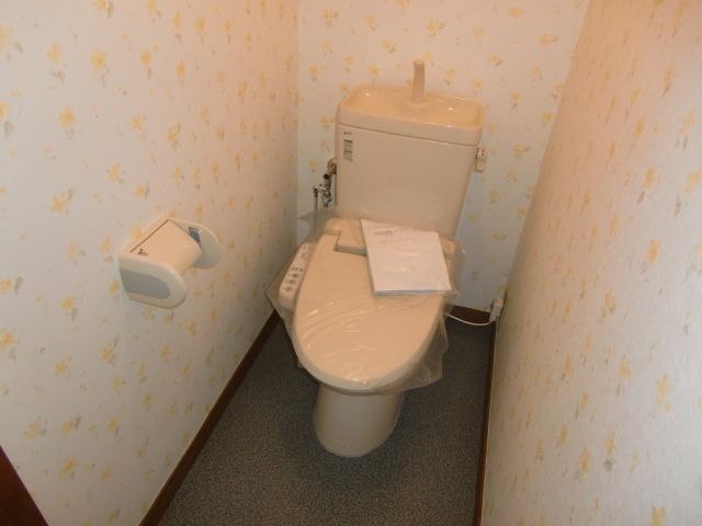 Toilet. Bidet with a Western-style toilet