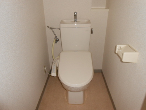 Toilet. Toilet with a wash function