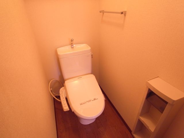 Toilet. Toilet is equipped with shower.