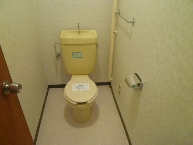 Toilet. Western-style toilet