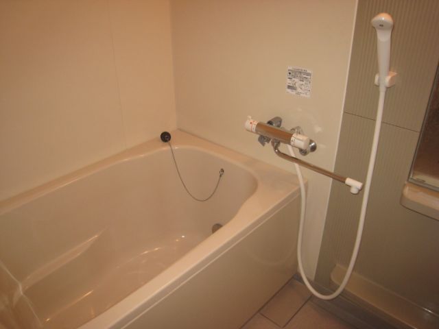 Bath. Spacious bath with reheating