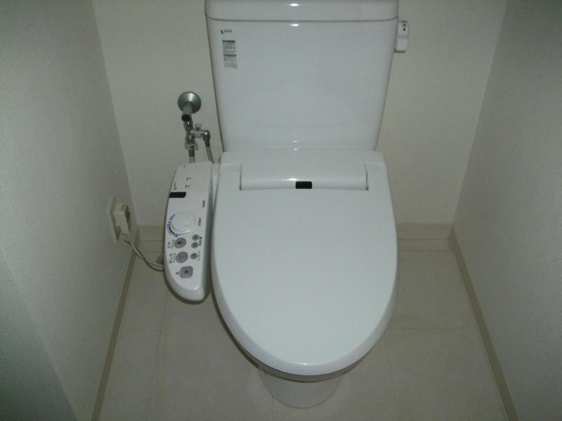 Toilet. Isomorphic type