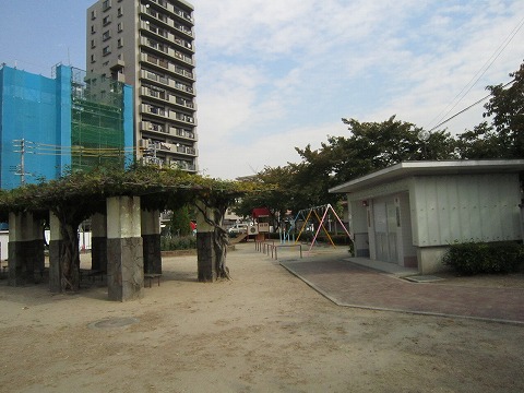 park. Maenochi 300m to the park (park)