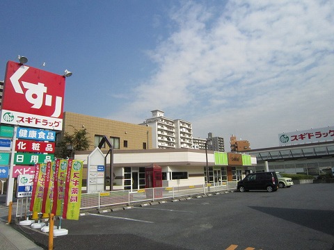 Dorakkusutoa. Cedar pharmacy Anjo Imaike shop 172m until (drugstore)