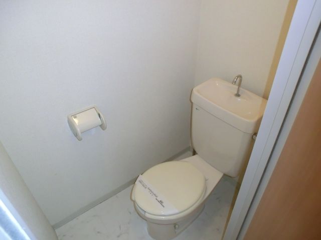 Toilet. Clean toilet