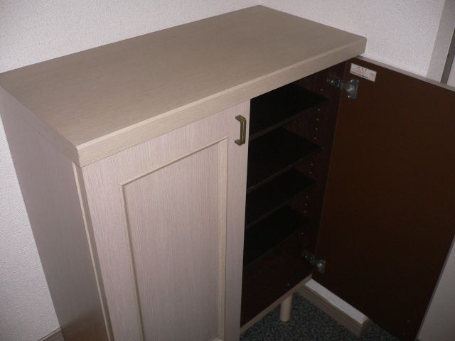 Entrance. Pat storage with cupboard