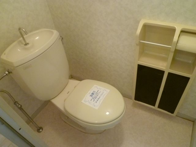 Toilet. Western-style toilet