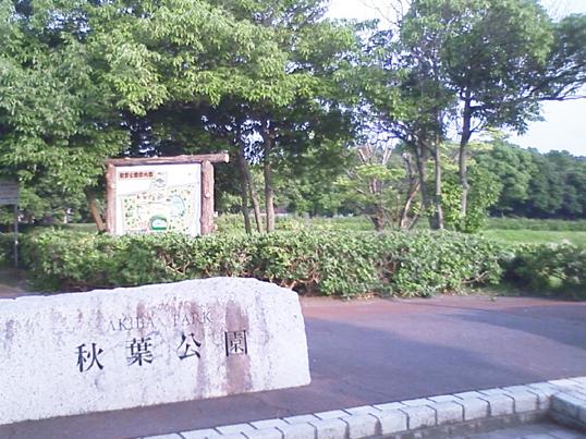 park. 280m to Akiba park  A 4-minute walk