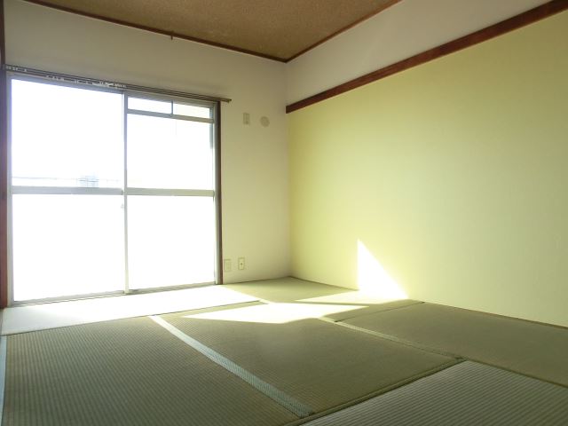 Living and room. Japanese-style calm