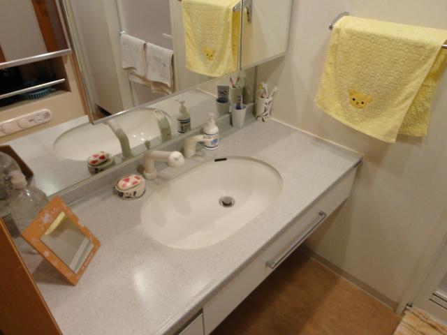Wash basin, toilet. July 2012 shooting