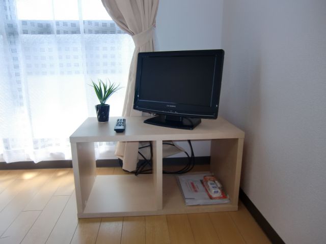 Living and room. Digital terrestrial LCD TV