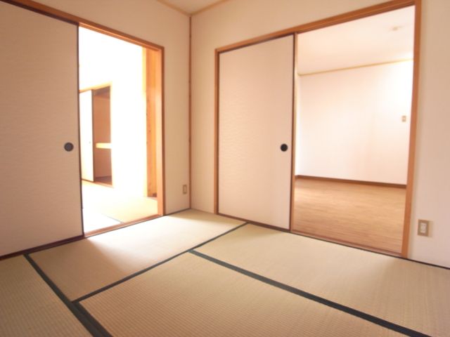 Living and room. You will want to put kotatsu