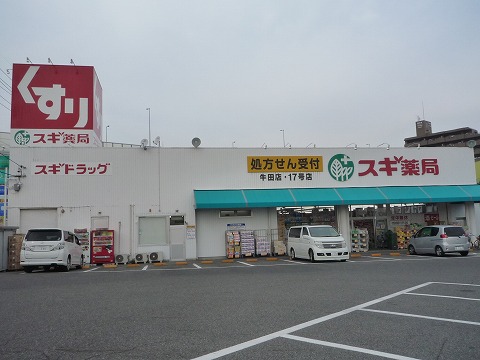 Dorakkusutoa. Cedar pharmacy Ushida shop 561m until (drugstore)