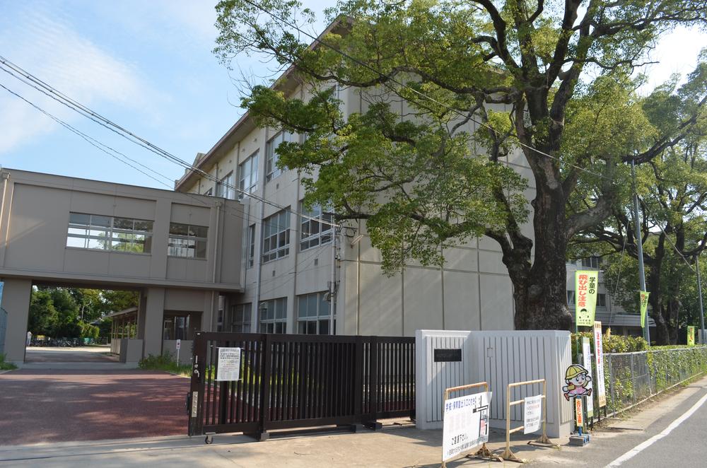 Primary school. Chiryu Municipal Raikoji to elementary school 906m
