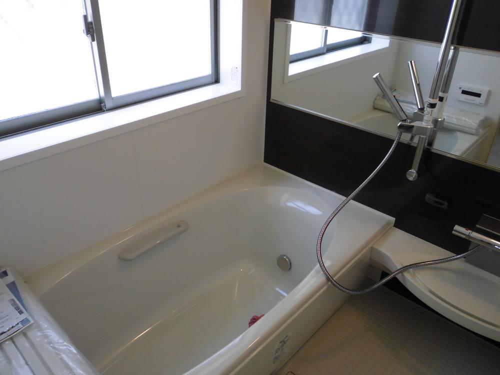 Other introspection. Bath